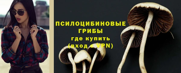 соль ск Семилуки