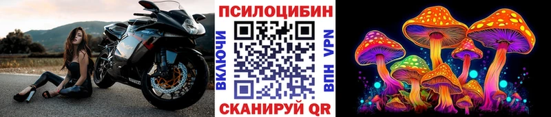 где купить наркоту  Краснокамск  OMG сайт  Галлюциногенные грибы мицелий 