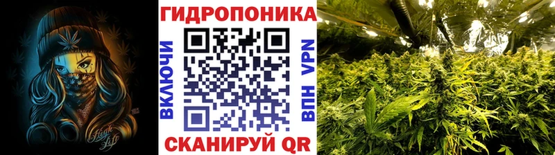 Каннабис тримм  купить наркоту  hydra как войти  Краснокамск 